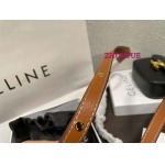 2022年6月高品質人気新作  CELIN    ブランドバッグ. size：11*9cm