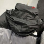 2022年12月秋冬高品質新作入荷 The North Faceダウンジャケット人気520工場