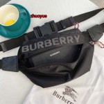 2023年4月20日人気新作入荷バーバリー バッグ8025668zhuoyue工場31*19