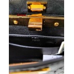 2023年4月20日人気新作入荷8BN335フェンディ バッグzhuoyue工場20cm-15.5cm-11cm