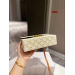 2023年人気新作CELINE  バッグ AXIAO工場 SIZE:21*13cm