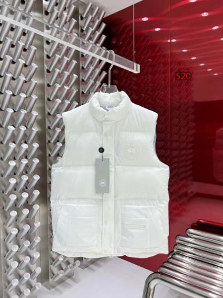 2025年秋冬最新の高品質カナダグ ースダウンジャケットベス...