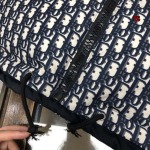 2023年8月29日秋冬高品質新作入荷ディオール両面ダウンジャケットTS工場