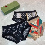 2023年新品人気グッチ女性 下着一箱ごとに3枚