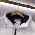 2023年9月4日秋冬新品入荷人高品質ディオールダウンジャケットaibin工場