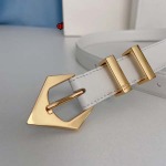 2023年9月15日高品質新品入荷CELINE ベルト25mm 本革qiqi工場