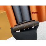 2023年11月1日新作入荷人気ルイヴィトン M81557財布 zhong工場 SIZE: