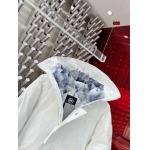 秋冬人気新作入荷 カナ ダグース  ダウンジャケット008工場