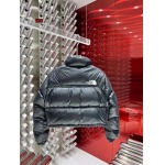 2023年11月17日秋冬高品質新品入荷The North Face 女性ダウンジャケット520工場 S-L