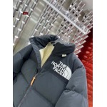 2023年11月17日秋冬高品質新品入荷The North Face ダウンジャケット520工場S一XXL