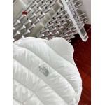 2023年11月17日秋冬高品質新品入荷The North Face 女性ダウンジャケット520工場 S-L