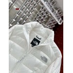 2023年11月17日秋冬高品質新品入荷The North Face 女性ダウンジャケット520工場 S-L