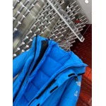 2023年11月17日秋冬高品質新品入荷 The North Face ダウンジャケット520工場 XS一XL