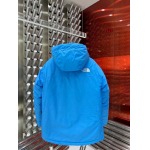 2023年11月17日秋冬高品質新品入荷 The North Face ダウンジャケット520工場 XS一XL