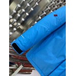 2023年11月17日秋冬高品質新品入荷 The North Face ダウンジャケット520工場 XS一XL