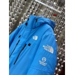 2023年11月17日秋冬高品質新品入荷 The North Face ダウンジャケット520工場 XS一XL