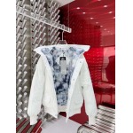 2025秋冬人気新作入荷 カ ナ ダ グ ー ス ダウンジャケット008工場