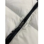 2023年11月21日秋冬新品入荷The North Face ダウンジャケットQIU工場