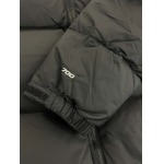 2023年11月21日秋冬新品入荷The North Face ダウンジャケットQIU工場