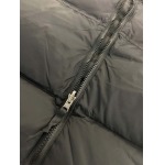 2023年11月21日秋冬新品入荷The North Face ダウンジャケットQIU工場