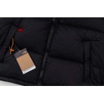 2023年11月21日秋冬新品入荷The North Face ダウンジャケットQIU工場