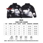 2023年11月21日秋冬新品入荷The North Face ダウンジャケットfangao工場