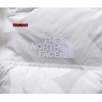2023年11月21日秋冬新品入荷The North Face ダウンジャケットfangao工場