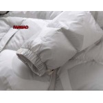 2023年11月21日秋冬新品入荷The North Face ダウンジャケットfangao工場