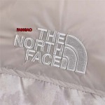 2023年11月21日秋冬新品入荷The North Face ダウンジャケットfangao工場