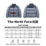 2023年11月21日秋冬新品入荷The North Face ダウンジャケットfangao工場