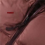 2023年11月21日秋冬新品入荷The North Face ダウンジャケットfangao工場