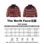 2023年11月21日秋冬新品入荷The North Face ダウンジャケットfangao工場