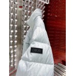 2023年12月8日高品質秋冬新品入荷ディオールダウンジャケット520工場S～XXL