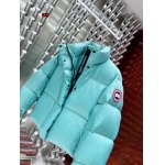 2023年12月8日高品質秋冬新品入荷The North Face 女性 ダウンジャケット520工場