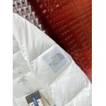 2023年12月8日高品質秋冬新品入荷The North Face女性  ダウンジャケット520工場