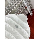 2023年12月8日高品質秋冬新品入荷The North Face女性  ダウンジャケット520工場