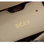 2024年原版復刻新作 Dolce&Gabbana バッグ du工場 size:20*16*8cm