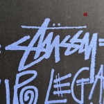 2024年4月15日夏季高品質新作入荷 Stussy 半袖 Tシャツ 61工場