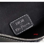 2024年高品質新作入荷ディオールブランドバッグ yt工場 size:20 x 28.6 x 5