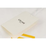 2024年4月25日夏季新作入荷CELINE半袖 Tシャツluod工場