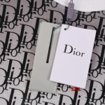 2024年5月21日夏季新作入荷ディオール半袖 Tシャツ520L工場