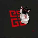 2024年5月23日夏季新作入荷ジバンシー半袖 Tシャツ FF工場