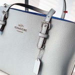 2024年6月3日人気新作入荷COACH バッグ qb工場25 cm