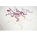 2024年6月20日夏季新作入荷ARCTERYX 半袖 TシャツFF工場