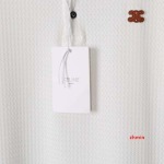 2024年7月25日新品入荷CELINE  半袖 Tシャツ zhmin工場