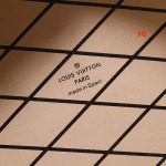 2024年8月秋冬高品質新作入荷ルイヴィトンバッグ  3Q工場 size：13x12x6.5CM