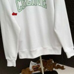 2024年8月16日秋冬新作入荷人気販売中 CELINEスウェット DW工場
