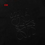 2024年8月19日秋冬新作入荷人気 LOEWE  半袖 Tシャツ DW工場