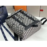 2024年高品質早秋新作入荷 ディオールブランドバッグ wp工場size:31 x 42.5 x 14.5