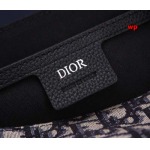 2024年高品質早秋新作入荷 ディオールブランドバッグ wp工場size:23 x 18 x 6